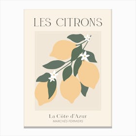 Les Citrons Canvas Print