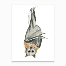 Bat Canvas Print