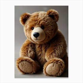 Teddy Bear 8 Canvas Print