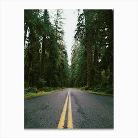 Pacific Northwest Rainforest Drive Canvas Print