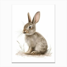Britannia Petite Rabbit Nursery Illustration 1 Canvas Print