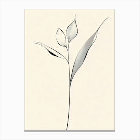 Eucalyptus 2 Canvas Print