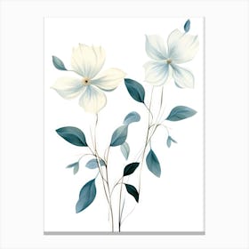 White Dogwood Flowers Canvas Print