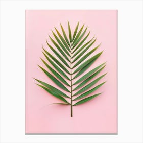 Palm Leaf On Pink Background 8 Canvas Print