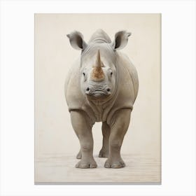 Detailed Illustration Of A Rhino 2 Canvas Print