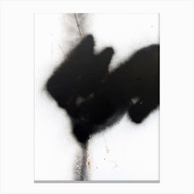 Black Paint On A Wall 4 Canvas Print