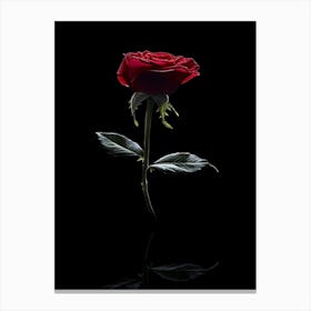 Single Red Rose On Black Background 26 Canvas Print