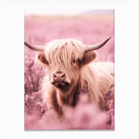Pastel Pink Portrait Of Highland Cow In The Grass 2 Canvas Print