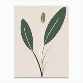 Olive Tree Canvas Print