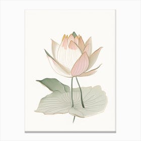 Early Lotus Pencil Illustration 4 Canvas Print