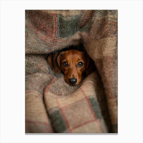 Dachshund Puppy.Generated AI. Wall Art Print Leinwandbild