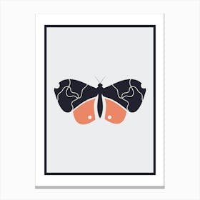 Butterfly Poster Canvas Print