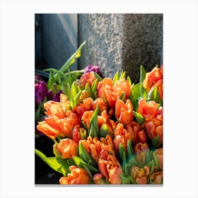 Orange Tulips 1 Canvas Print