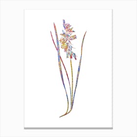 Stained Glass Drooping Star of Bethlehem Mosaic Botanical Illustration on White Canvas Print