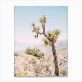 Joshua Tree Canvas Print