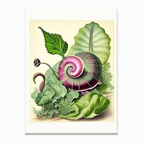Garden Snail Feeding On Plants 1 Botanical Canvas Print