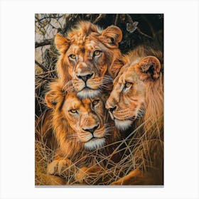 Barbary Lion Acrylic Painting 5 Canvas Print