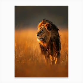 Lion In The Grass 1 Canvas Print