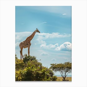 Giraffe In The Savannah 3 Canvas Print