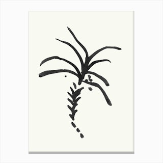 Black Palm Tree Canvas Print