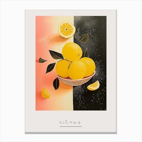 Citrus Fruit Art Deco 2 Poster Canvas Print