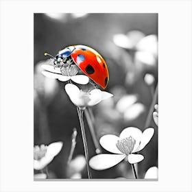 Ladybug On A Flower 2 Canvas Print