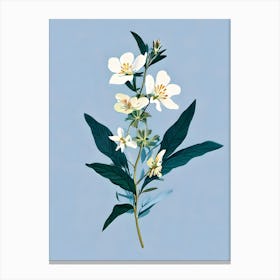 White Flowers 5 Canvas Print