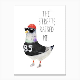 Street Pigeon Canvas Print