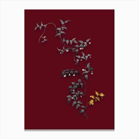 Vintage Bridal Creeper Black and White Gold Leaf Floral Art on Burgundy Red n.0980 Canvas Print