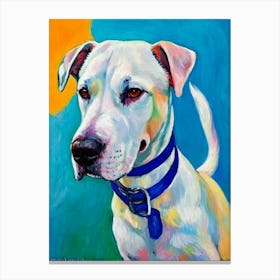 Dogo Argentino 2 Fauvist Style dog Canvas Print