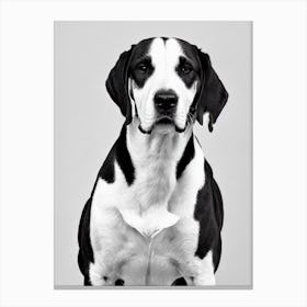 Treeing Walker Coonhound B&W Pencil dog Canvas Print