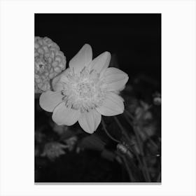 Black And White Flowers Canvas Print