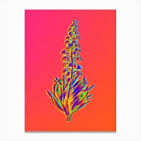 Neon Persian Lily Botanical in Hot Pink and Electric Blue n.0118 Canvas Print