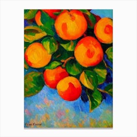 Apricot Fruit Vibrant Matisse Inspired Painting Fruit Canvas Print