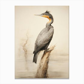 Vintage Bird Drawing Cormorant 3 Canvas Print