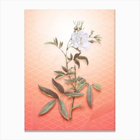 White Rose of York Vintage Botanical in Peach Fuzz Hishi Diamond Pattern n.0009 Canvas Print