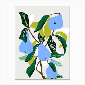 Blue Pears Canvas Print