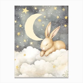 Sleeping Baby Bunny 8 Canvas Print