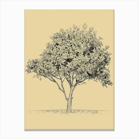 Magnolia Tree Minimalistic Drawing 2 Canvas Print