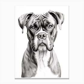Boxer Dog, Line Drawing 1 Canvas Print