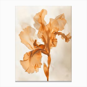 Orange Iris 2 Canvas Print