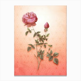 Pink Autumn China Rose Vintage Botanical in Peach Fuzz Asanoha Star Pattern n.0274 Canvas Print