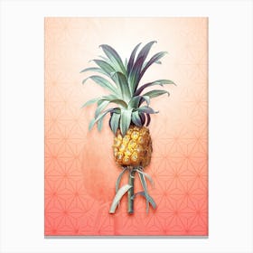 Pineapple Vintage Botanical in Peach Fuzz Asanoha Star Pattern n.0255 Canvas Print