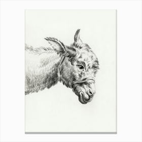 Head Of A Donkey, Jean Bernard Canvas Print