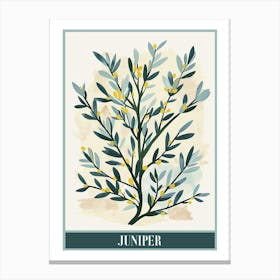 Juniper Tree Flat Illustration 1 Poster Canvas Print