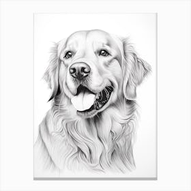 Golden Retriever Dog, Line Drawing 1 Canvas Print