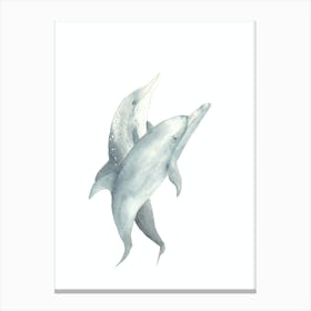 Dolphins Canvas Print