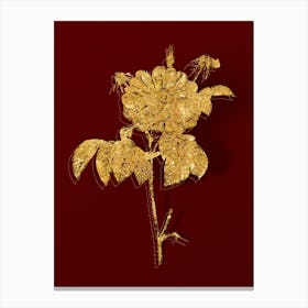 Vintage Speckled Provins Rose Botanical in Gold on Red n.0091 Canvas Print