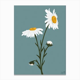 Flower Daisy Canvas Print
