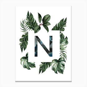 Botanical Alphabet N Canvas Print